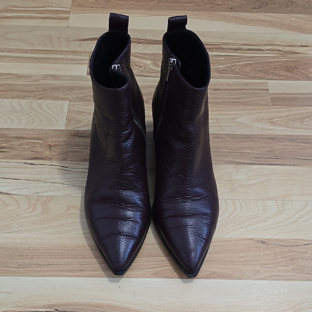 Everlane Pointed Toe Leather Ankle Boots in Dark Brown